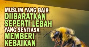 MUSLIM YANG BAIK DIIBARATKAN SEPERTI LEBAH YANG SENTIASA MEMBERI KEBAIKAN KEPADA YANG LAIN