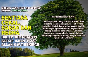 MUKMIN YANG KUAT DIIBARATKAN SEPERTI POHON MUDA SENTIASA CEKAL, SABAR DAN REDHA DALAM MENGHADAPI SETIAP UJIAN YANG ALLAH SWT BERIKAN