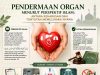 PENDERMAAN ORGAN MENURUT PERSPEKTIF ISLAM: ANTARA KEHARUSAN DAN TUNTUTAN MEMELIHARA NYAWA