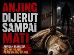 ANJING DIJERUT SAMPAI MATI – ADAKAH MANUSIA SUDAH HILANG PERIKEMANUSIAAN?