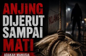 ANJING DIJERUT SAMPAI MATI – ADAKAH MANUSIA SUDAH HILANG PERIKEMANUSIAAN?